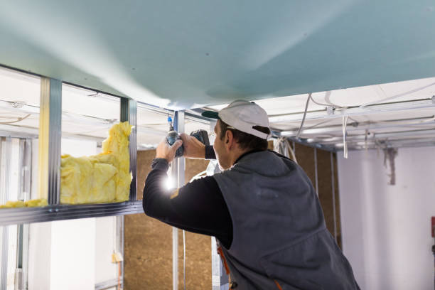 Best Blown-in Insulation in Denver City, TX