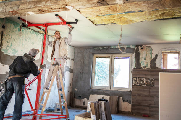Best Insulation Maintenance and Repair in Denver City, TX